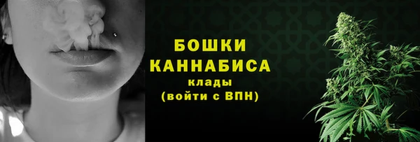ECSTASY Пересвет