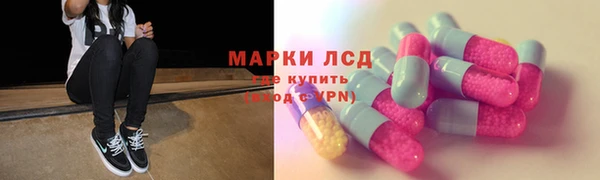 прущие грибы Пестово