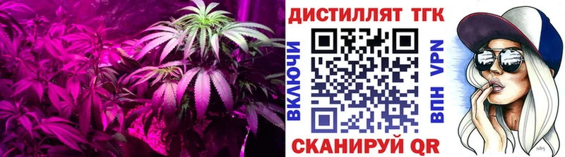 ТГК вейп  Приморск 