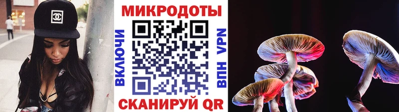 Псилоцибиновые грибы мухоморы  Приморск 