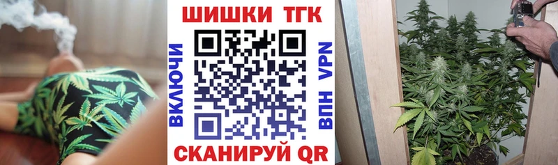 Конопля план  Приморск 